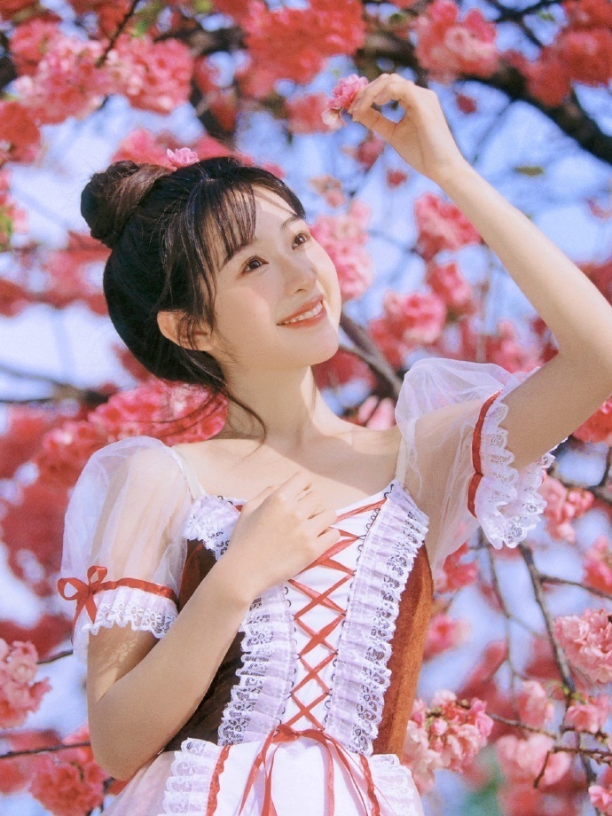 走向共和 封面